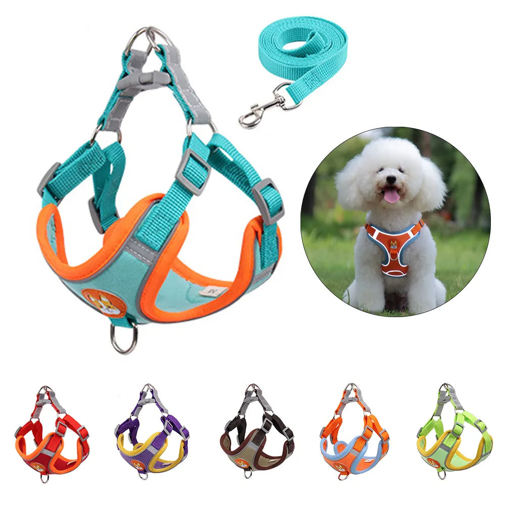 No-Pull Harness & Leash