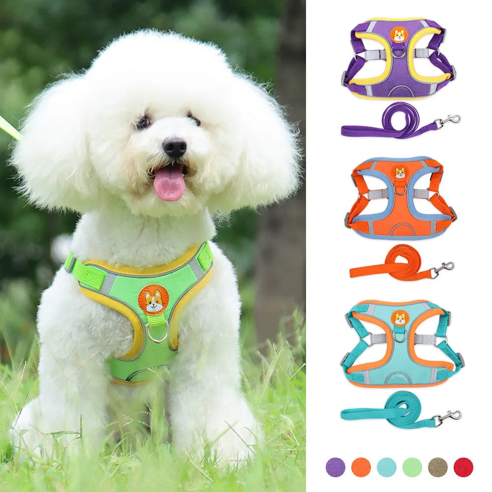No-Pull Harness & Leash