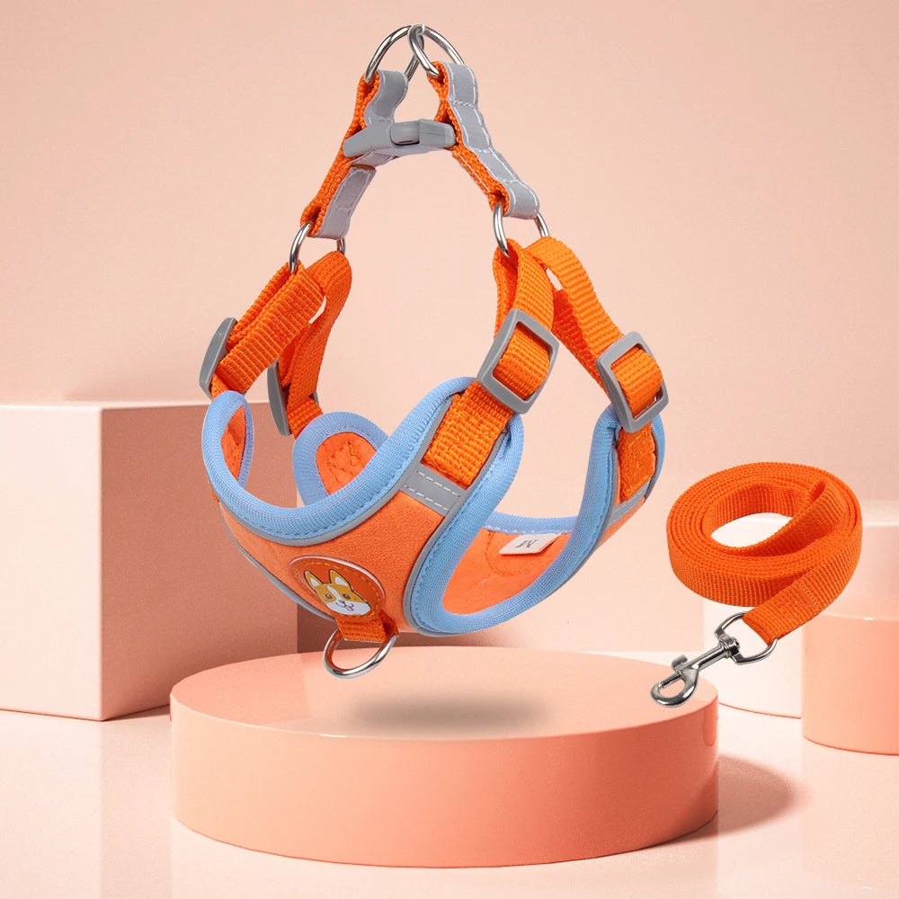No-Pull Harness & Leash
