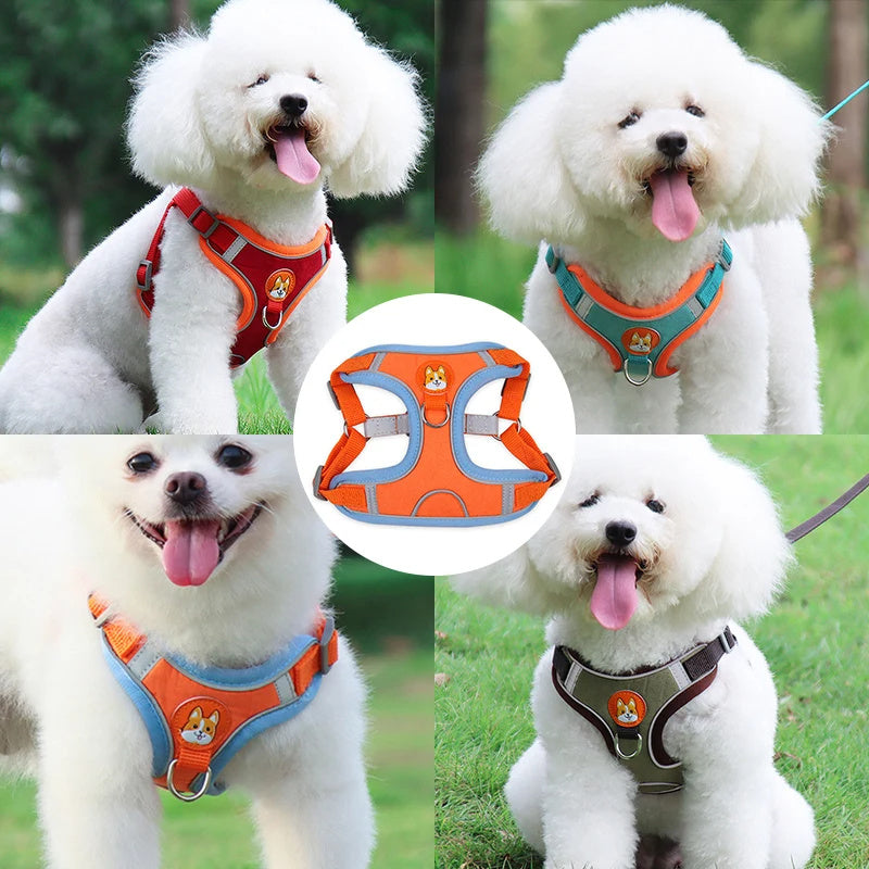 No-Pull Harness & Leash
