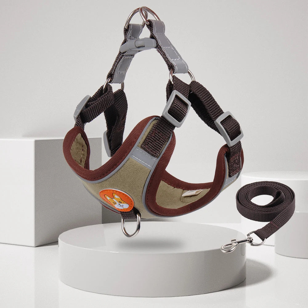 No-Pull Harness & Leash