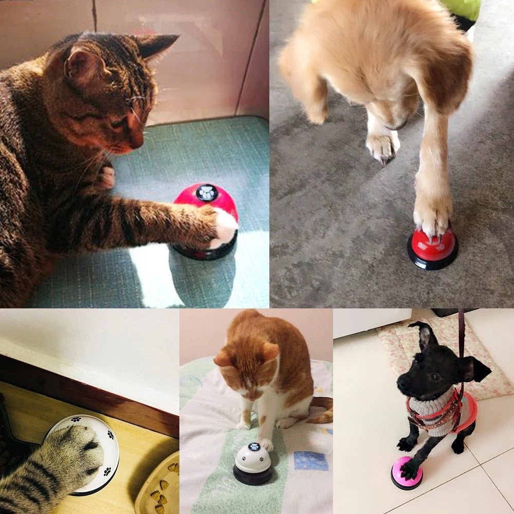 Dog Training Bell